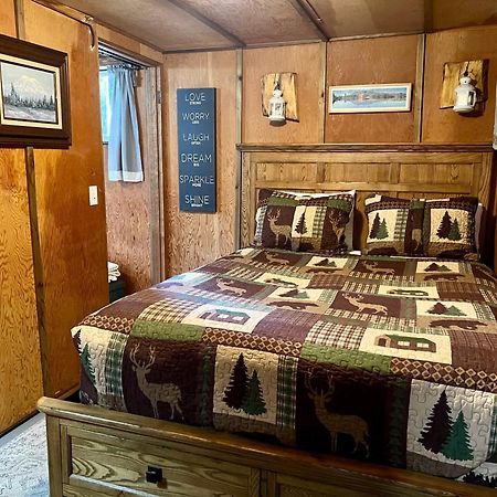Mt Rainier Little Green Cabin On Big Creek! Ашфорд Екстер'єр фото