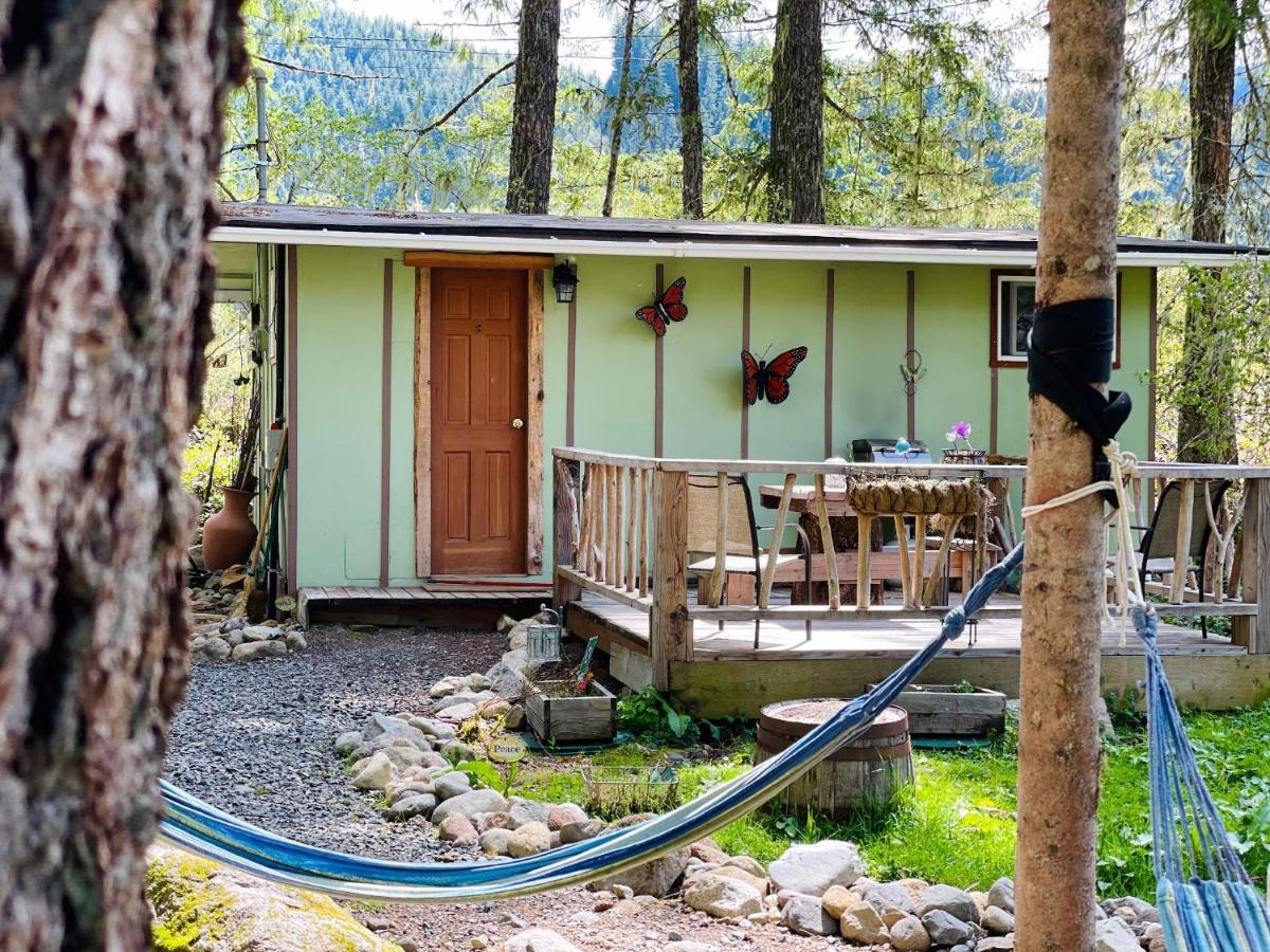 Mt Rainier Little Green Cabin On Big Creek! Ашфорд Екстер'єр фото