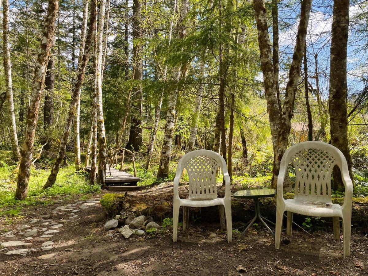 Mt Rainier Little Green Cabin On Big Creek! Ашфорд Екстер'єр фото