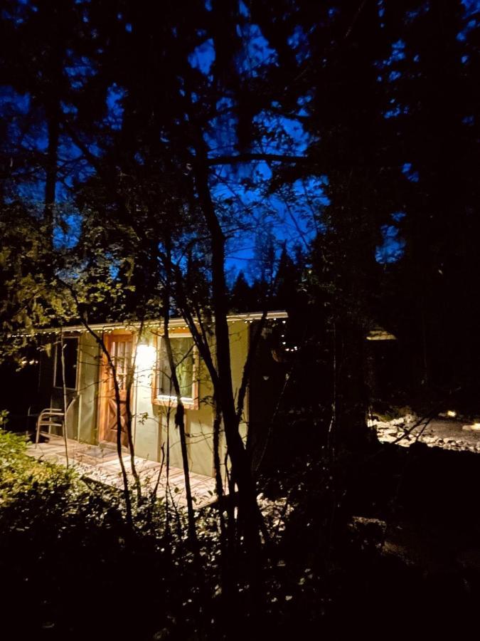 Mt Rainier Little Green Cabin On Big Creek! Ашфорд Екстер'єр фото