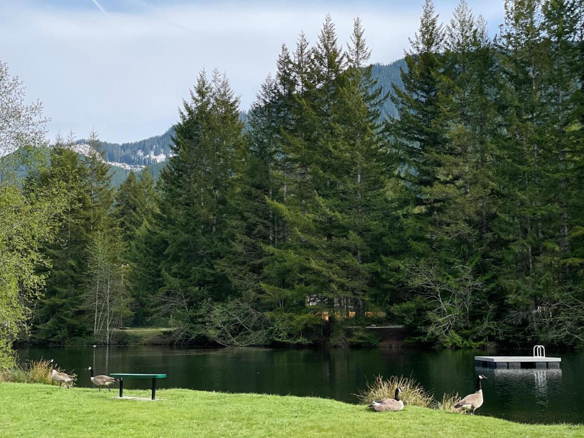 Mt Rainier Little Green Cabin On Big Creek! Ашфорд Екстер'єр фото