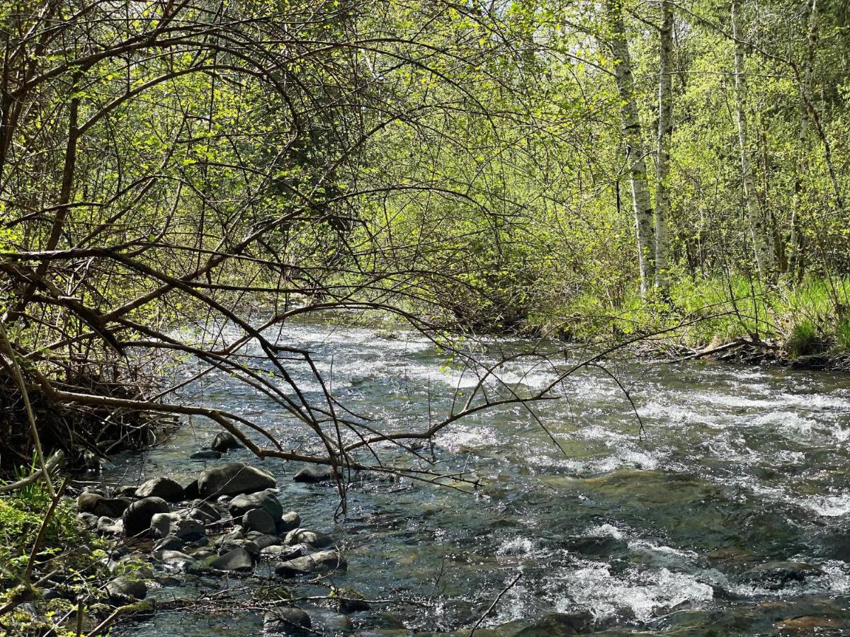 Mt Rainier Little Green Cabin On Big Creek! Ашфорд Екстер'єр фото