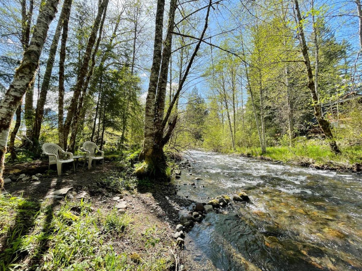 Mt Rainier Little Green Cabin On Big Creek! Ашфорд Екстер'єр фото