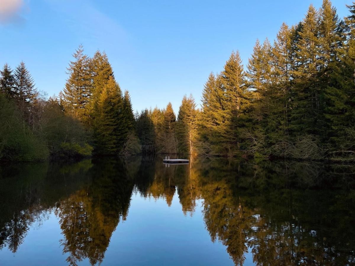 Mt Rainier Little Green Cabin On Big Creek! Ашфорд Екстер'єр фото