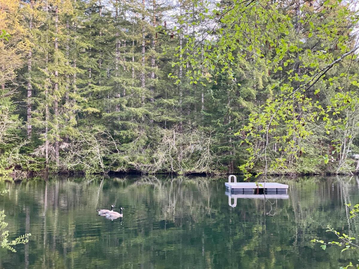 Mt Rainier Little Green Cabin On Big Creek! Ашфорд Екстер'єр фото